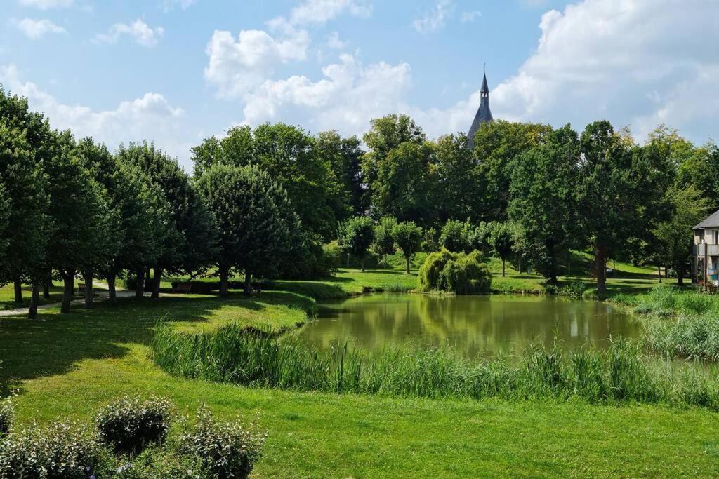 Maison Centre De Bellegarde Avec Jardin Et Terrasse Equipee D'Un Salon De Jardin Et D'Un Barbecue Cuisine Equipee 3 Chambres Avec 2 Lits Double 140X190 Et 2 Lits Simple Chauffage Poele A Granules Parking Gratuit Devant La Maison Bellegarde-du-Loiret Kültér fotó